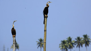 库玛拉孔鸟类保护区